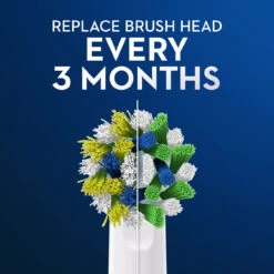 Oral B Oral-B CrossAction X-Filament Replacement Brush Heads, 3 Count 12 Oral B Oral-B CrossAction X-Filament Replacement Brush Heads, 3 Count -Oral B Sales Store 4 1 64948.1648670262.1280.1280 94579.1701269031