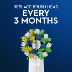 Oral B Oral-B CrossAction Replacement Brush Heads, 2 Count 13 Oral B Oral-B CrossAction Replacement Brush Heads, 2 Count -Oral B Sales Store crossaction white harmony4 1 05776.1604934552.1280.1280 88187.1701267627